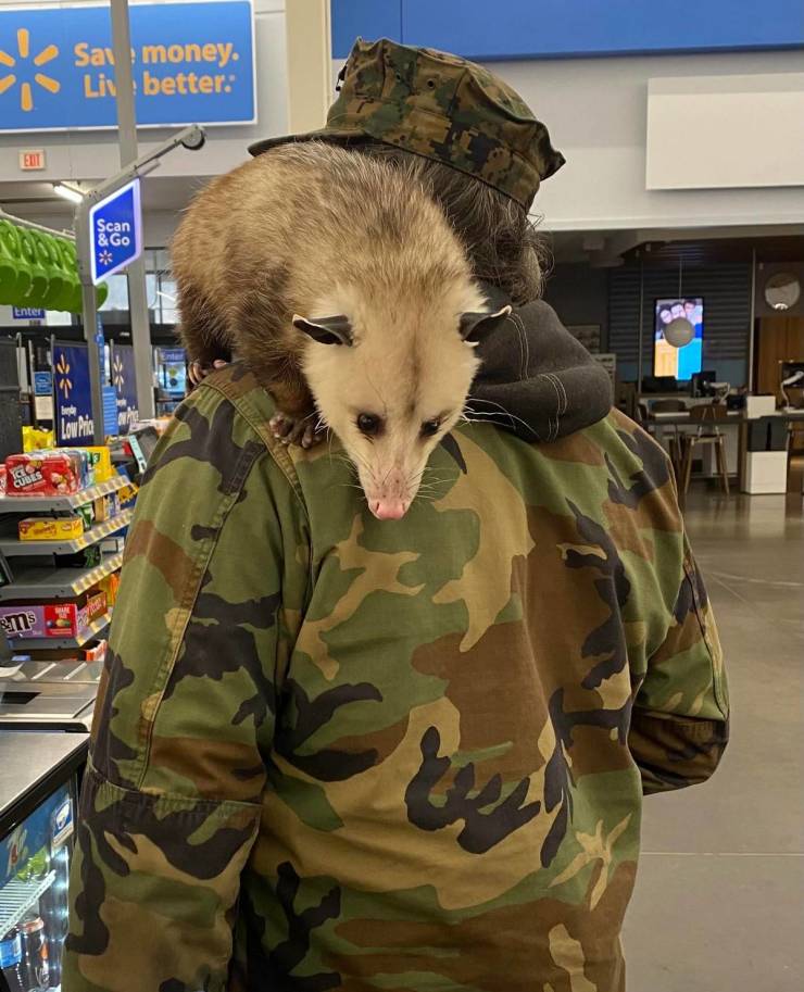 walmart visitors are very special 56 pics 22.html - 56 HD Photos | Premium Gallery 2023