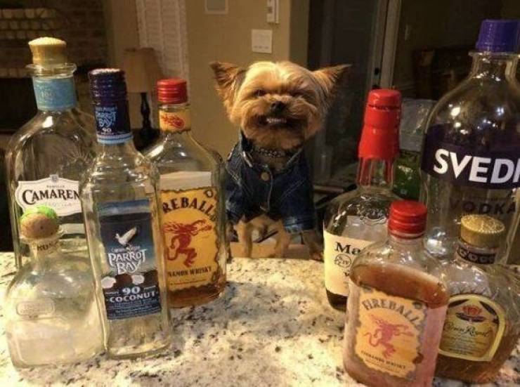 cheers to everyone 44 pics 3 gifs 24.html - 44 HD GIF | Premium Gallery 2023