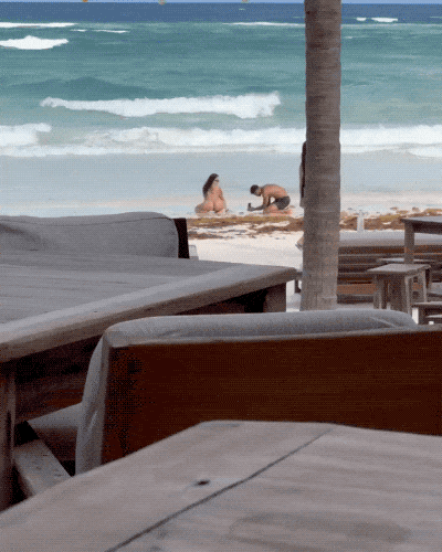 unconventional and comical influencer moments 15 gifs 1.html - 1 HD GIF | Premium Gallery 2023