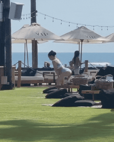 unconventional and comical influencer moments 15 gifs 1.html - 1 HD GIF | Premium Gallery 2023