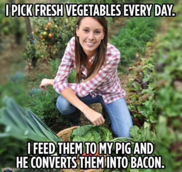 getting dirty with these mildly arousing memes 39 pics 2 gifs 2.html - 39 HD GIF | Premium Gallery 2023