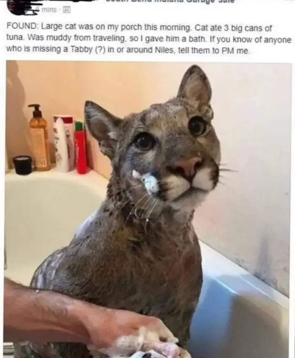 hold on a second 46 pics 14.html - 46 HD Photos | Premium Gallery 2023