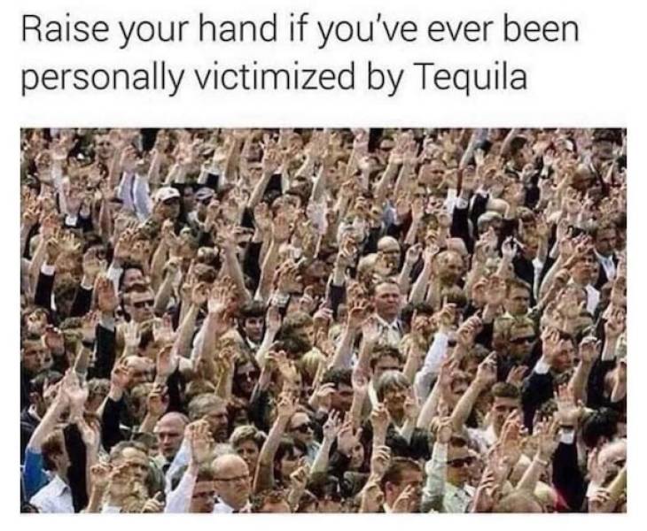 drinking never ends 53 pics 1.html - 53 HD Photos | Premium Gallery 2023