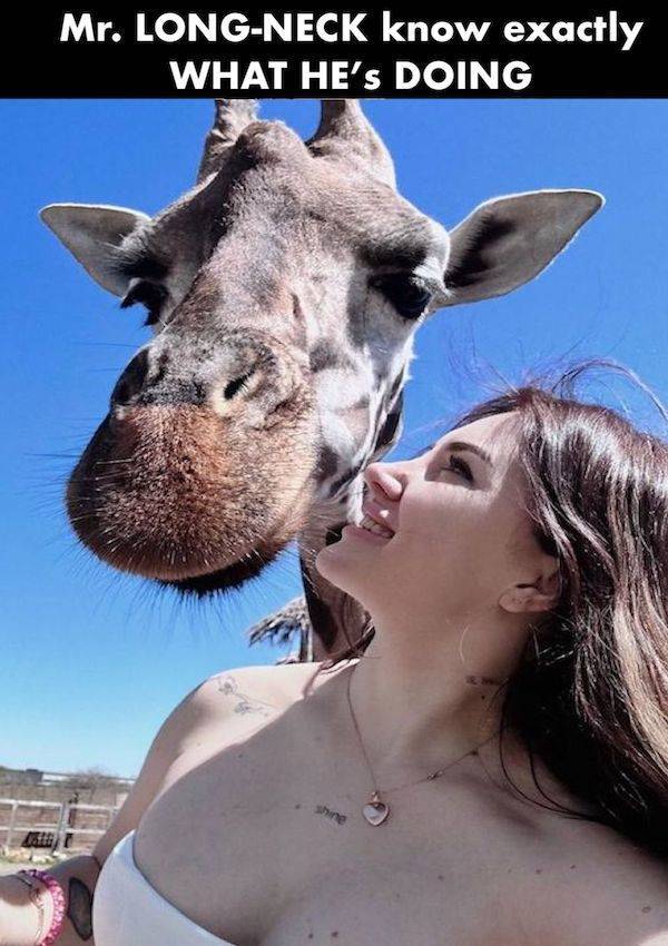 Dirty Mind, Come Here!