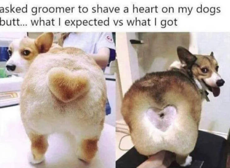 hold on a second 46 pics 7.html - 46 HD Photos | Premium Gallery 2023