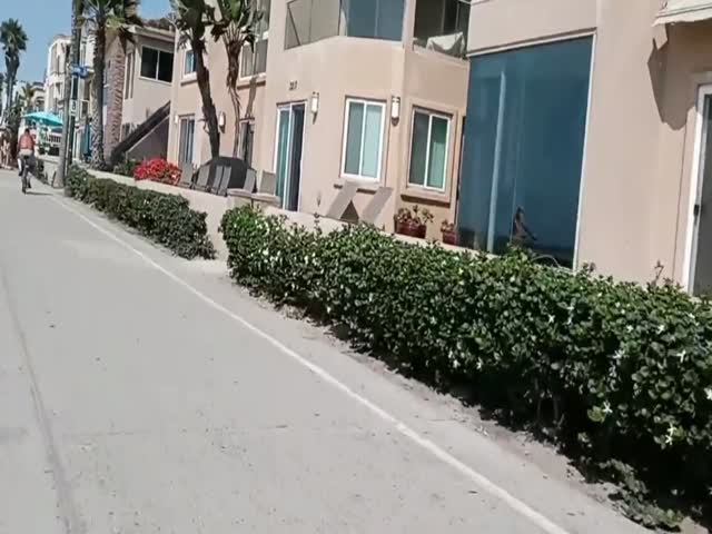 Skate Ride