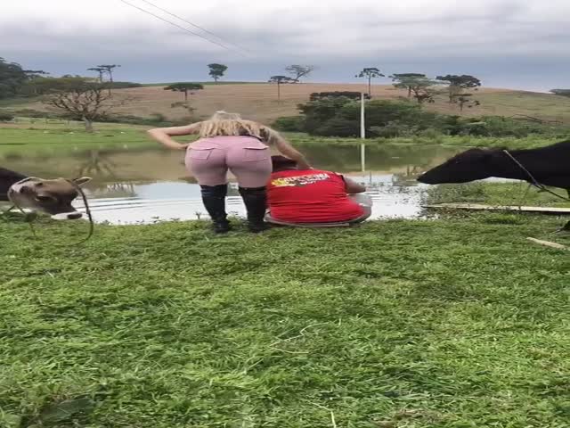 Wrong Cow