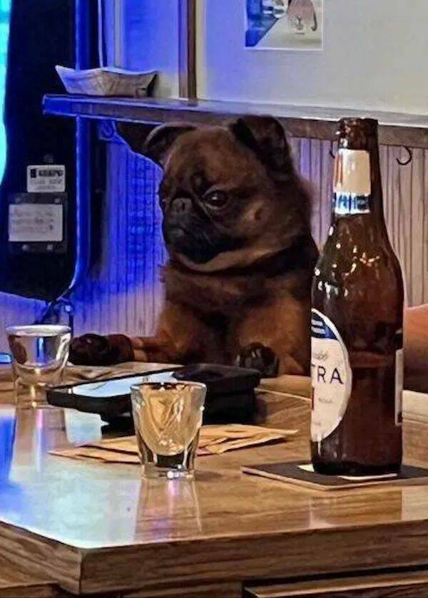 drinking time 42 pics 6 gifs 15.html - 42 HD GIF | Premium Gallery 2024