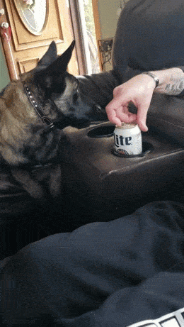 drinking time 42 pics 6 gifs 15.html - 42 HD GIF | Premium Gallery 2024