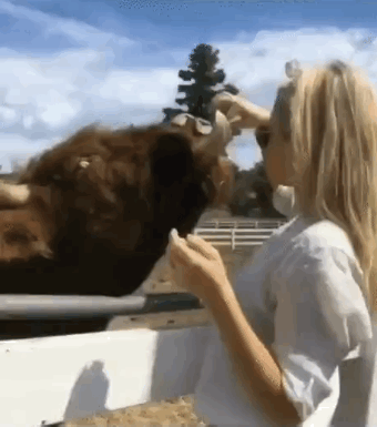 almost dead 32 gifs 2.html - 1 HD GIF | Premium Gallery 2024