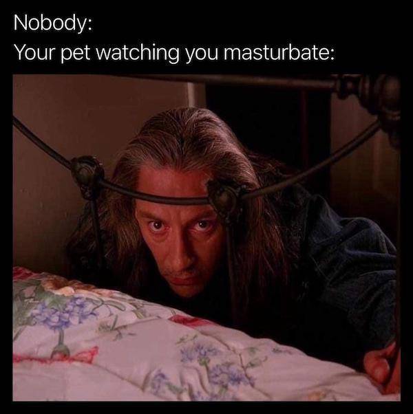 nsfw memes for grownups 33 pics 1.html - 33 HD Photos | Premium Gallery 2024