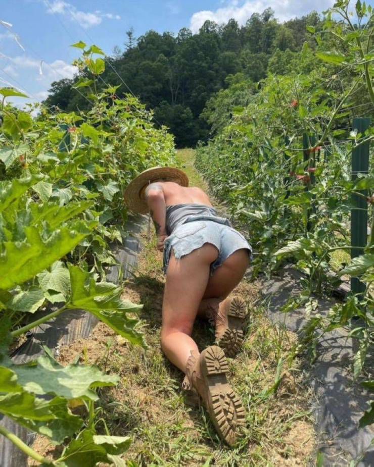 grownup corner 54 pics 1.html - 54 HD Photos | Premium Gallery 2024