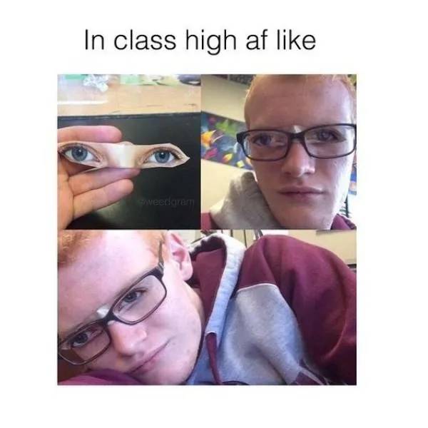 These Memes Are Already Stoned