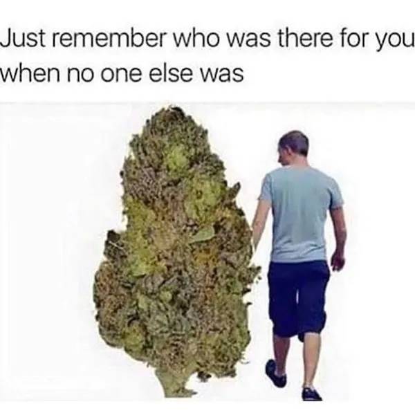 These Memes Are Already Stoned