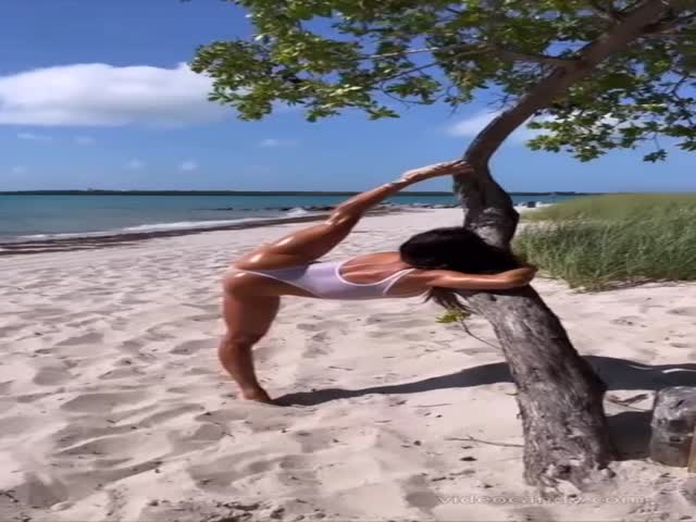 Top Stretch