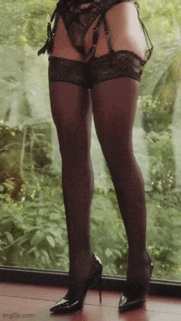 hot girls are here for you 33 gifs 7.html - 1 HD GIF | Premium Gallery 2024