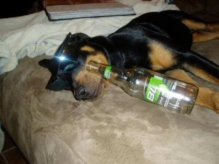 Drinking Time!