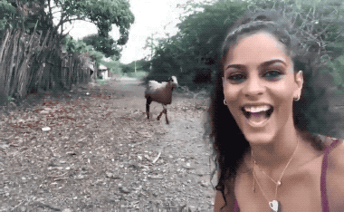 flaming fiascos collection of hot fails 26 gifs 3.html - 1 HD GIF | Premium Gallery 2024