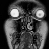 grownup corner 61 pics 4.html - 61 HD Photos | Premium Gallery 2020