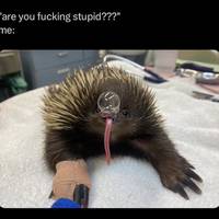 girl transforms herself completely by losing 64 kilos 13 pics 1.html - 13 HD Photos | Premium Gallery 2019