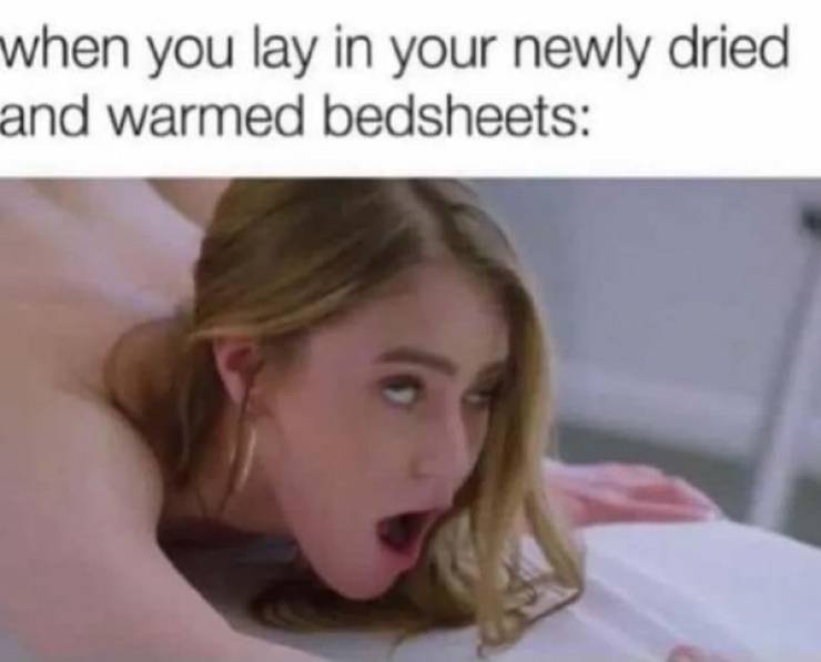 pg13 memes with rrated vibes 43 pics 20.html - 43 HD Photos | Premium Gallery 2024