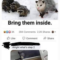 jump rope beauties 22 gifs 9.html - 1 HD GIF | Premium Gallery 2023