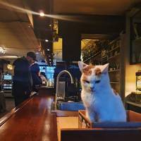 squats matter 10 pics 4.html - 10 HD Photos | Premium Gallery 2020