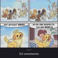 a few men who definitely understand women 25 pics.html - 25 HD Photos | Premium Gallery 2014