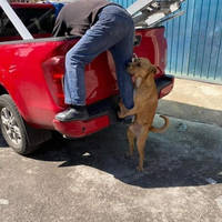 dirty mind come here 47 pics 12.html - 47 HD Photos | Premium Gallery 2023