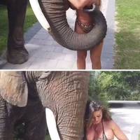 what sound do you want for your erection 19 gifs 16.html - 1 HD GIF | Premium Gallery 2023