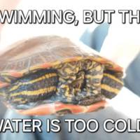 hateful signs from the kids of westboro baptist 18 pics 4.html - 18 HD Photos | Premium Gallery 2011