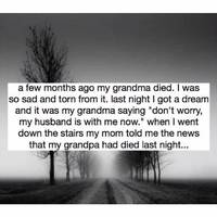 dank memes with unlimited energy 36 pics 14.html - 36 HD Photos | Premium Gallery 2026