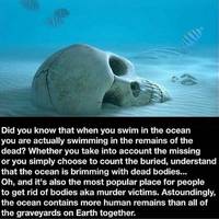 girls wanna have some fun 33 pics 8.html - 33 HD Photos | Premium Gallery 2026