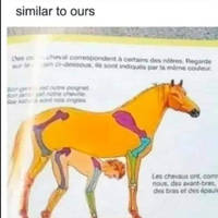 beautiful summer loving bikini girls 51 pics 7.html - 51 HD Photos | Premium Gallery 2020