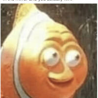 morning picdump 53 pics 7.html - 53 HD Photos | Premium Gallery 2015