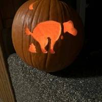 girls give us your best jokes 25 pics 4.html - 25 HD Photos | Premium Gallery 2026