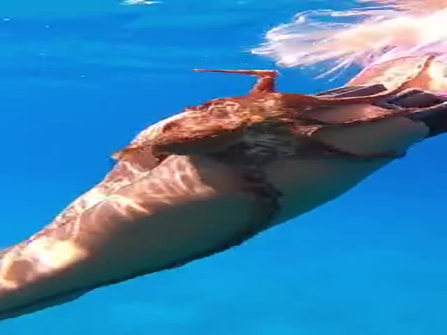 Squid Game