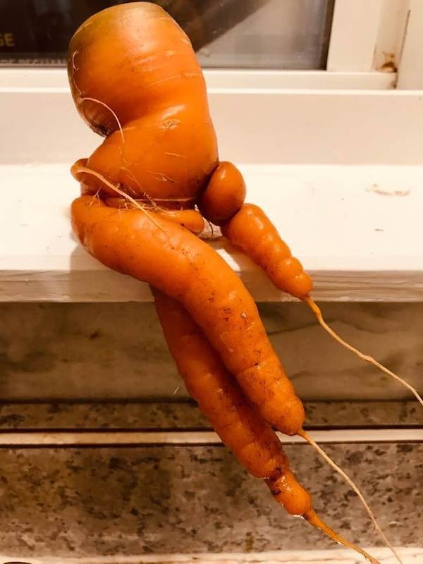 Sexy Food For Everyone