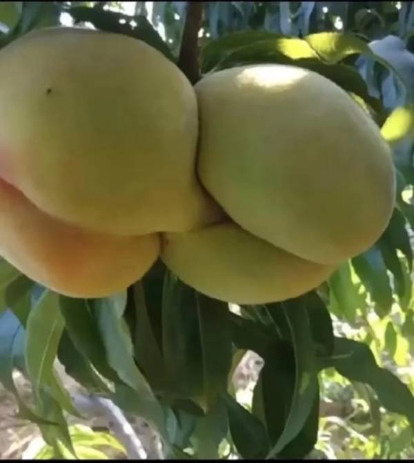 Sexy Food For Everyone