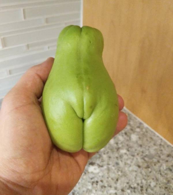 sexy food 40 pics 13.html - 40 HD Photos | Premium Gallery 2025