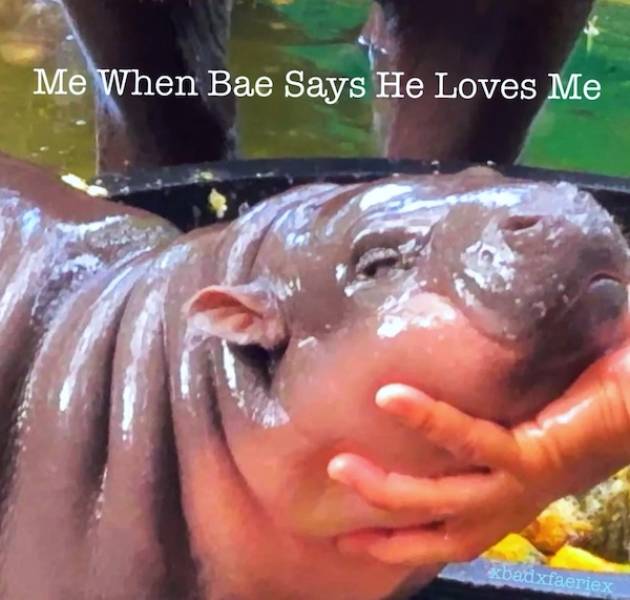 Flirty Memes To Send Your Better Half