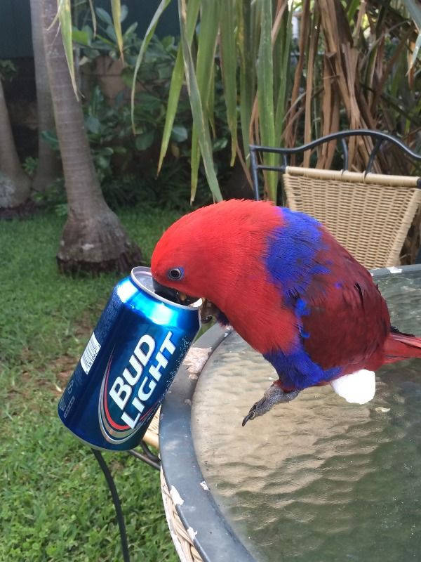 cheers everyone 33 pics 1.html - 33 HD Photos | Premium Gallery 2025