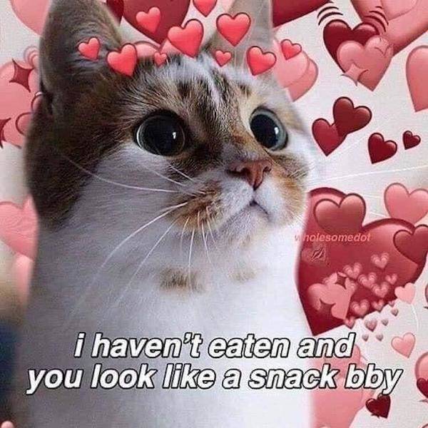 Flirty Memes To Send Your Better Half