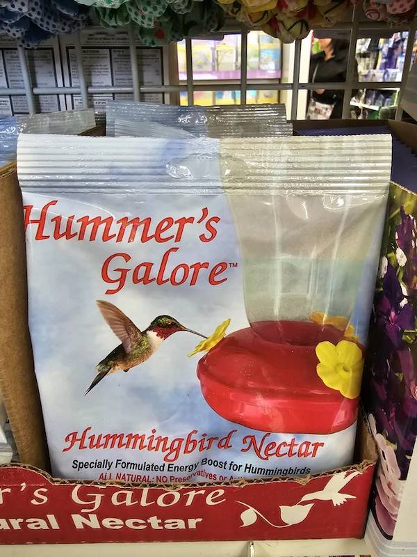 Dirty Dump For Dirty Minds