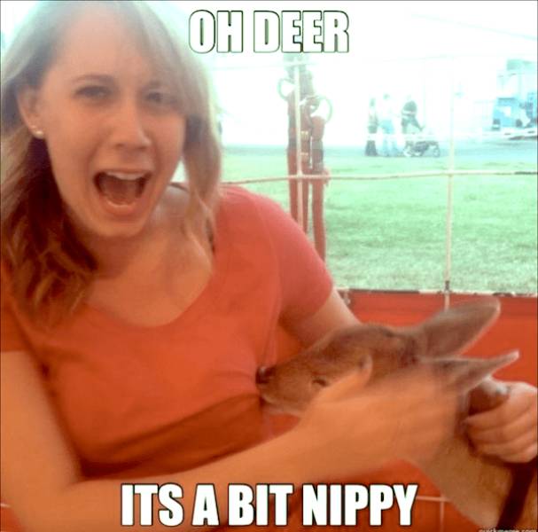 Mildly Arousing Memes