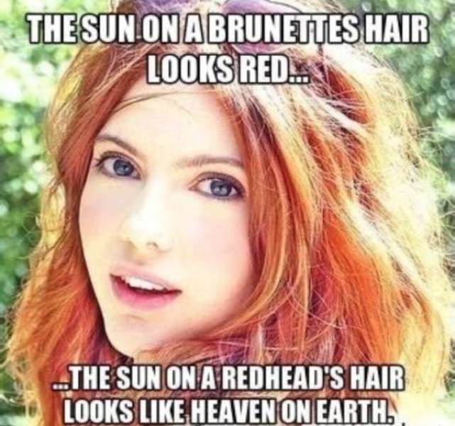 mildly arousing memes 41 pics 1.html - 41 HD Photos | Premium Gallery 2025