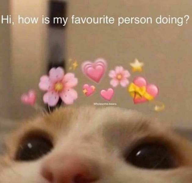 Flirty Memes To Annoy Your Better Half