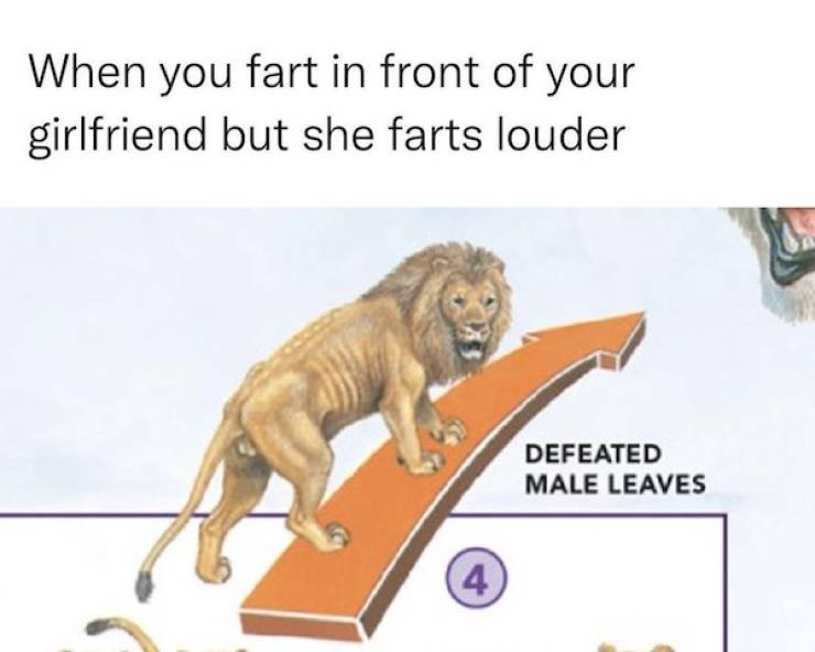 flirty memes to send your better half 33 pics 15.html - 33 HD Photos | Premium Gallery 2025