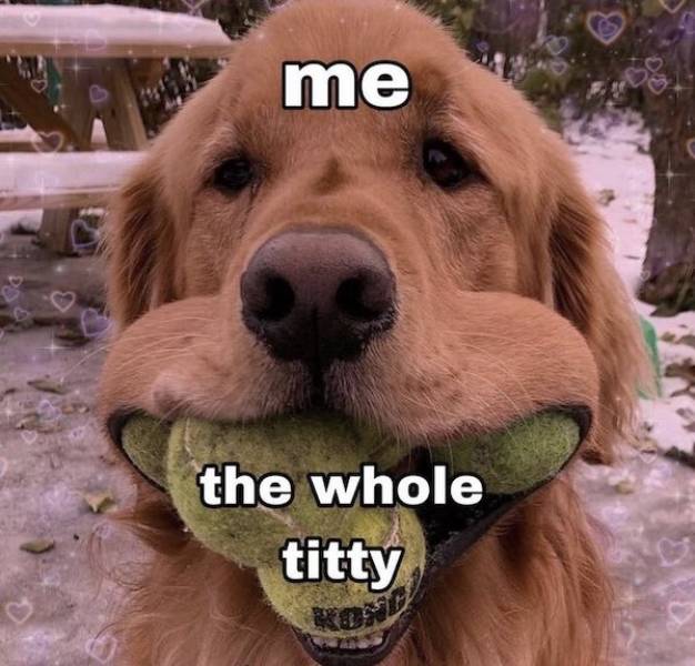 nsfw memes to add some spice to your life 43 pics 10.html - 43 HD Photos | Premium Gallery 2025