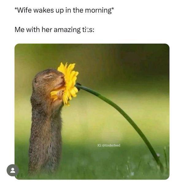 nsfw memes to add some spice to your life 43 pics 10.html - 43 HD Photos | Premium Gallery 2025